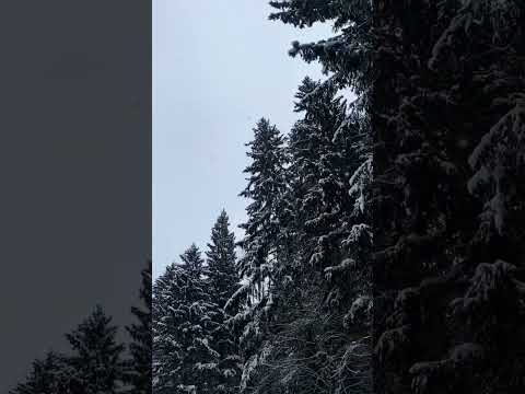 Год назад Троицк