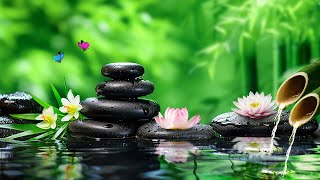 Relaxing Piano Music 🌿 Sound of Flowing Water 🌿 Music for Meditation, Zen Garden #8 by Peaceful Relaxation 1,699 views 3 weeks ago 3 hours, 30 minutes