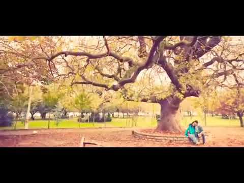 احمد بتشان بيني وبينك