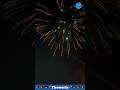 Fireworks Show 🎆 Atosh Baji 🎇 Patakha 🧨 #shorts #fireworks #halercm