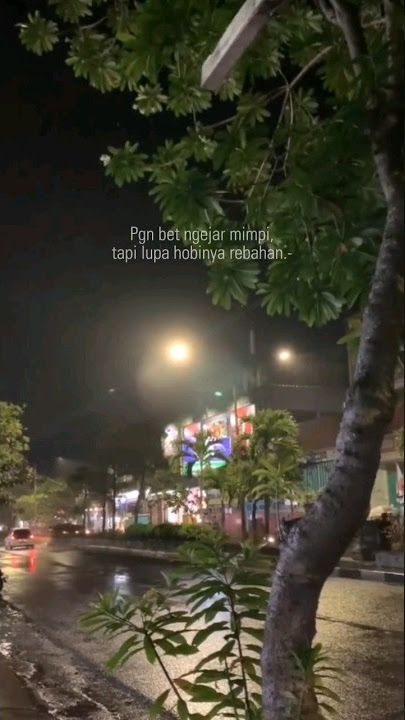 Tag tmnmu yg hobi nya rebahan😅 #story #storywa #storywa30detik #aesthetic #aestheticstatus #quotes