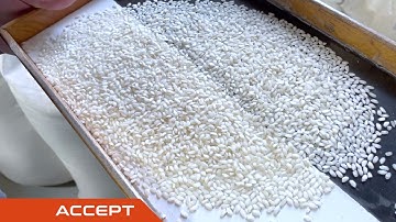 Installazione Riso Petazzi