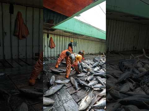 Loading Last Cargo