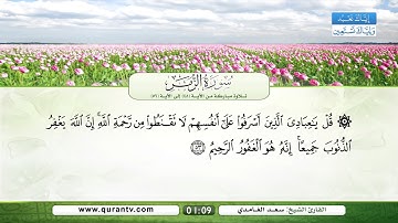 سورة الزمر | تلاوة مباركة من الآية 48 إلى الآية 56 | بصوت القارئ الشيخ سعد الغامدي