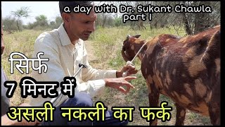 नागौर के जंगलो में बकरियों का पारखी | a day with sukant chawla episode#1 | pkraj vlogs