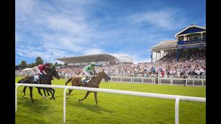 Leicester Horse Racing Tips (Feb 24, 2026) | National Hunt Analysis & Pro Predictions by World Race screenshot 5