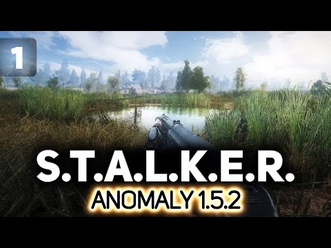 Video: Is stalker-anomalie selfstandig?