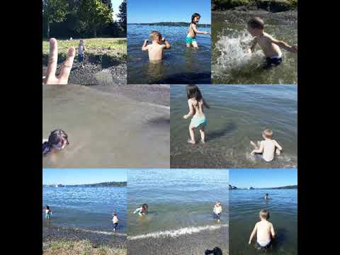 Video: Tempat Berenang di Seattle di Musim Panas