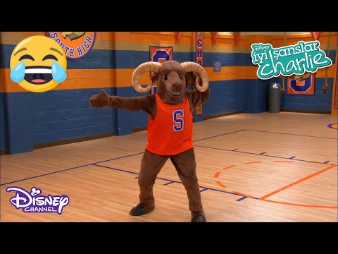 MASKOT TEDDY 🙆🏀 | İYİ ŞANSLAR CHARLIE | DISNEY CHANNEL TR