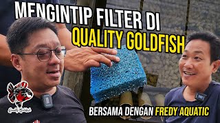 MENGINTIP FILTER QUALITY GOLDFISH BERSAMA DENGAN FREDY AQUATIC