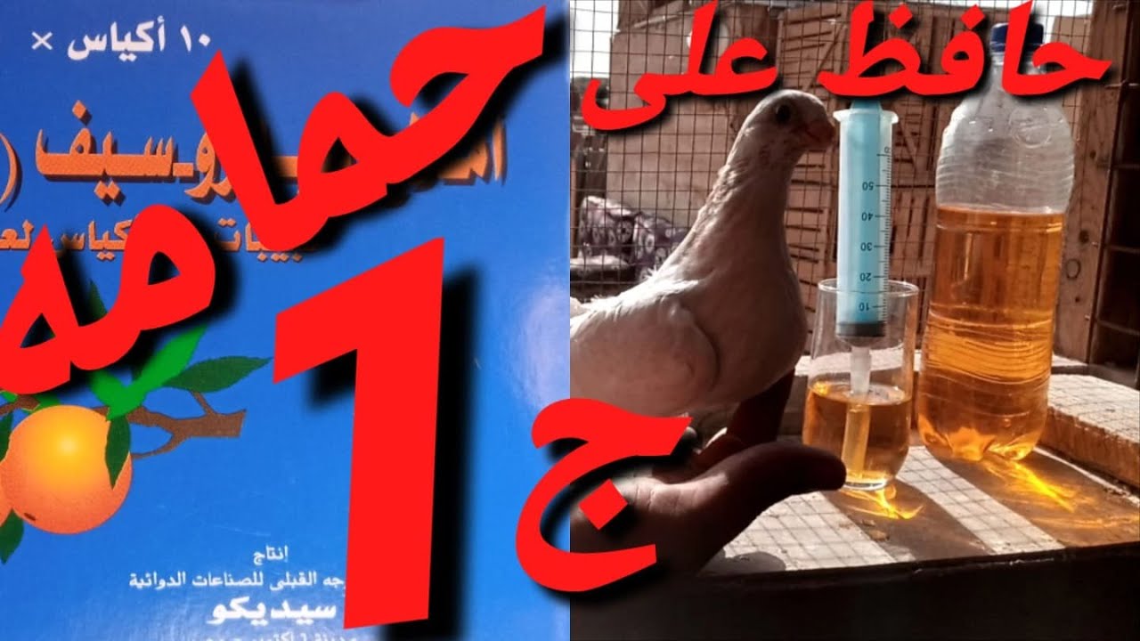 حمامك حافظ عليه ب جنيه واحد بس #ابوهوجان