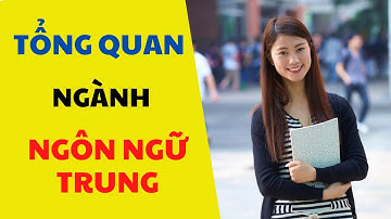 #11 - TỔNG QUAN NGÀNH NGÔN NGỮ TRUNG (Tìm hiểu về ngành học)