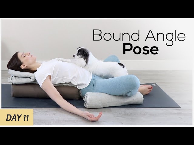 Restorative Yoga At Home  Bound Angle Pose for Stress Relief