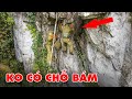 ĐU MÌNH TRÊN VÁCH ĐÁ LẤY MẬT ONG - honey on the cliff  | Thợ Rừng