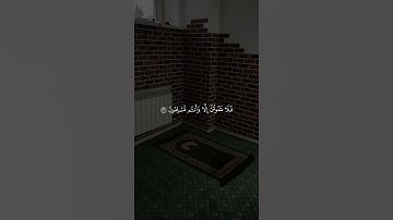 قال أسلمت لرب العالمين || القارئ اويس عبد الفتاح 🤍