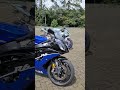 Most beautiful Yamaha R6 in the WORLD #short #shorts #shortvideo #shortsfeed #shortsviral #yamaha