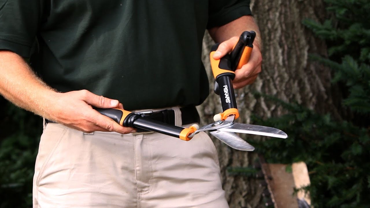 How to Trim a Hedge | Lawn & Garden Care - YouTube