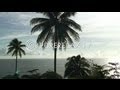 Lounge Music - Guitar Music, Harmony, Wellness & Paradise - OCEAN LOUNGE