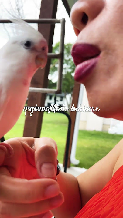 Cute kissy