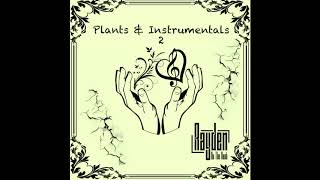 Baggy | Instrumental @Raydenofficial