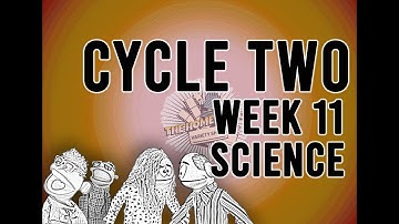 Cycle 2 Week 11 Science: Phases of The Moon