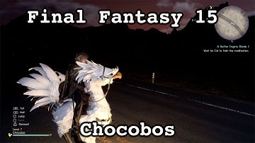 FINAL FANTASY 15 CHOCOBO GUIDE
