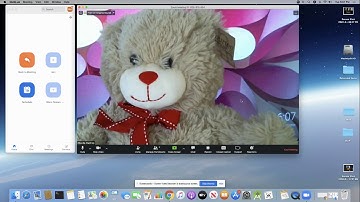Using Subtitles in Google Slides During a Zoom Conference