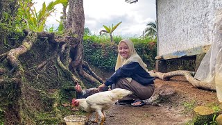 OH MY GOD, I DIDN'T EXPECT IT 😍 It's This Delicious, Coming to a Beautiful Village, West Java Rur...