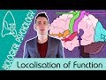 Localisation of Function in the Brain - Biological Psychology [AQA ALevel]