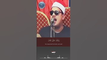 #ممدوح_عامر #سورة_النمل #اكسبلور #duet #لايك #قرآن #قران_كريم #quran #ترند #دويتو