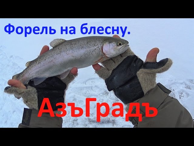 Ловля форели зимой на блесны
