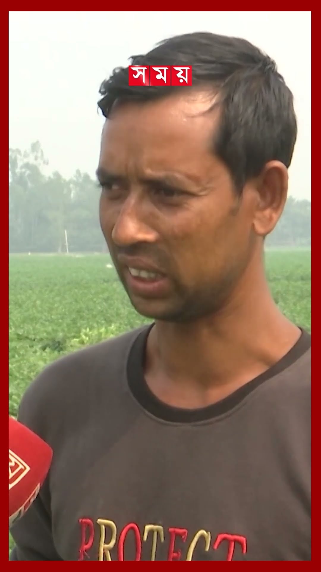 ২০ টাকায় আলু উৎপাদন করে ১০ টাকা বিক্রি! #potatoprice #rangpur #business #shorts #somoytv