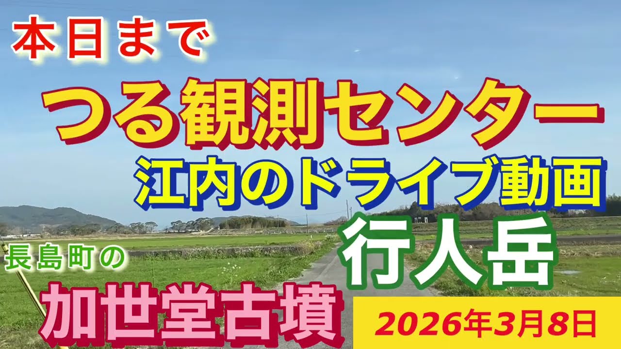 つる観測センター　行人岳　加世堂￼古墳　江内のドライブ動画　2026年3月8日　ナベヅル