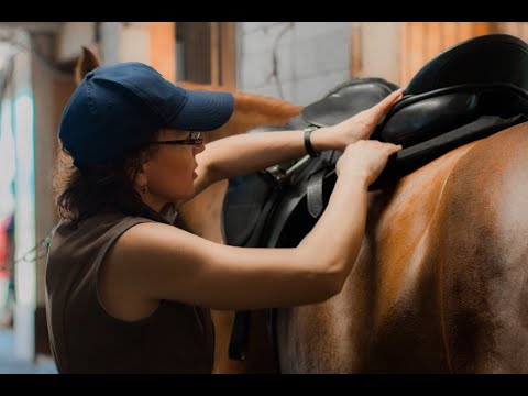 Амуниция и правила седловки лошади для верховой езды.