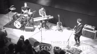 Third Eye Blind - Semi Charmed Life (Live)