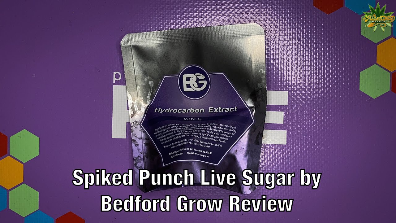 Spiked Punch Live Sugar by Bedford Grow Review