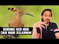 Burung Hud-Hud dan Nabi Sulaiman