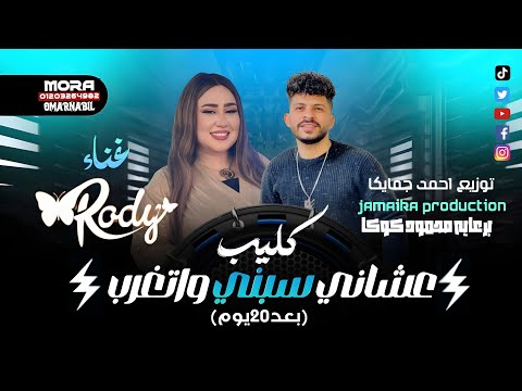 ريمكس عشاني سبني و اتغرب 20 يوم رودي 2026 توزيع احمد جمايكا