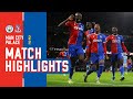 Manchester City Crystal Palace goals and highlights
