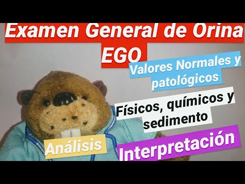 ¿Cómo? interpretar un