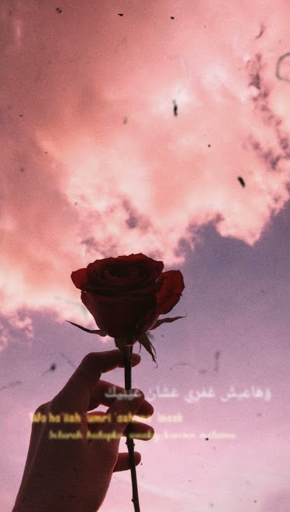 Story WhatsApp- Albi Nadak cover Riszka