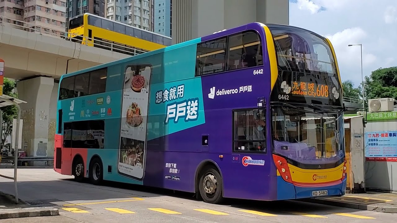 Download Hong Kong Bus CTB 6442 @ 608 城巴 Alexander Dennis Enviro500 MMC New Facelift 筲箕灣 - 九龍城(盛德街)