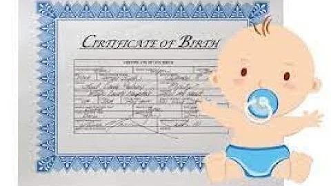 ¿Puede un niño entrar en EE.UU. con un certificado de nacimiento?