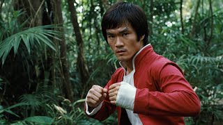 Power Rangers Jungle Fury Copied Bruce Lee Style