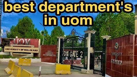 university of Malakand best department