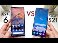 Google Pixel 6 Vs Samsung Galaxy S21! (Comparison) (Review)