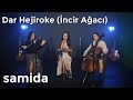 Samida - Dar Hejiroke ( İncir Ağacı)