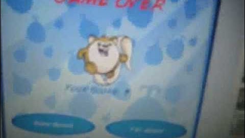 Neopet meerca  chase 2 cheat