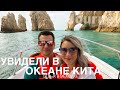 Увидели КИТА 🐳в ОКЕАНЕ!!! ОТДЫХ в МЕКСИКЕ ** DAY 2 `` Whale watching!!! iSTEPANOV