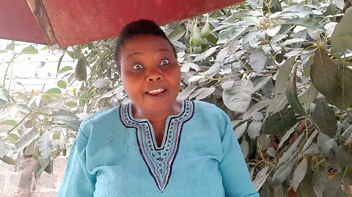 The Book of Proverbs On The Types of Fools